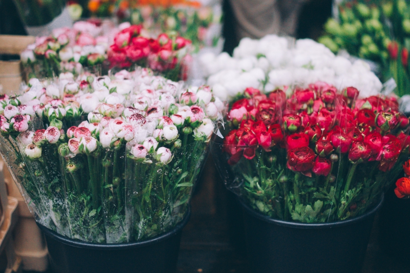 fleuriste-COLOMARS-min_farmers-market-1209712